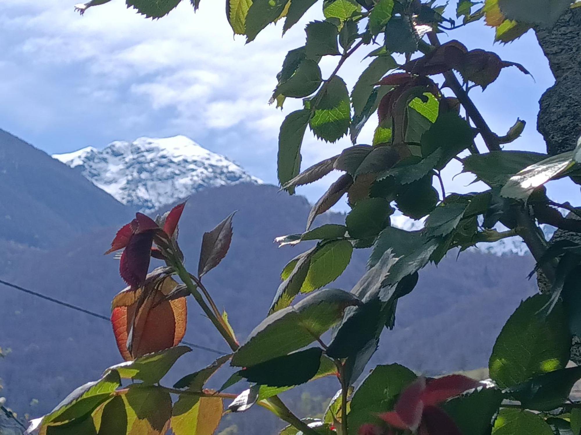Villa Casa di Sasso Intragna Esterno foto